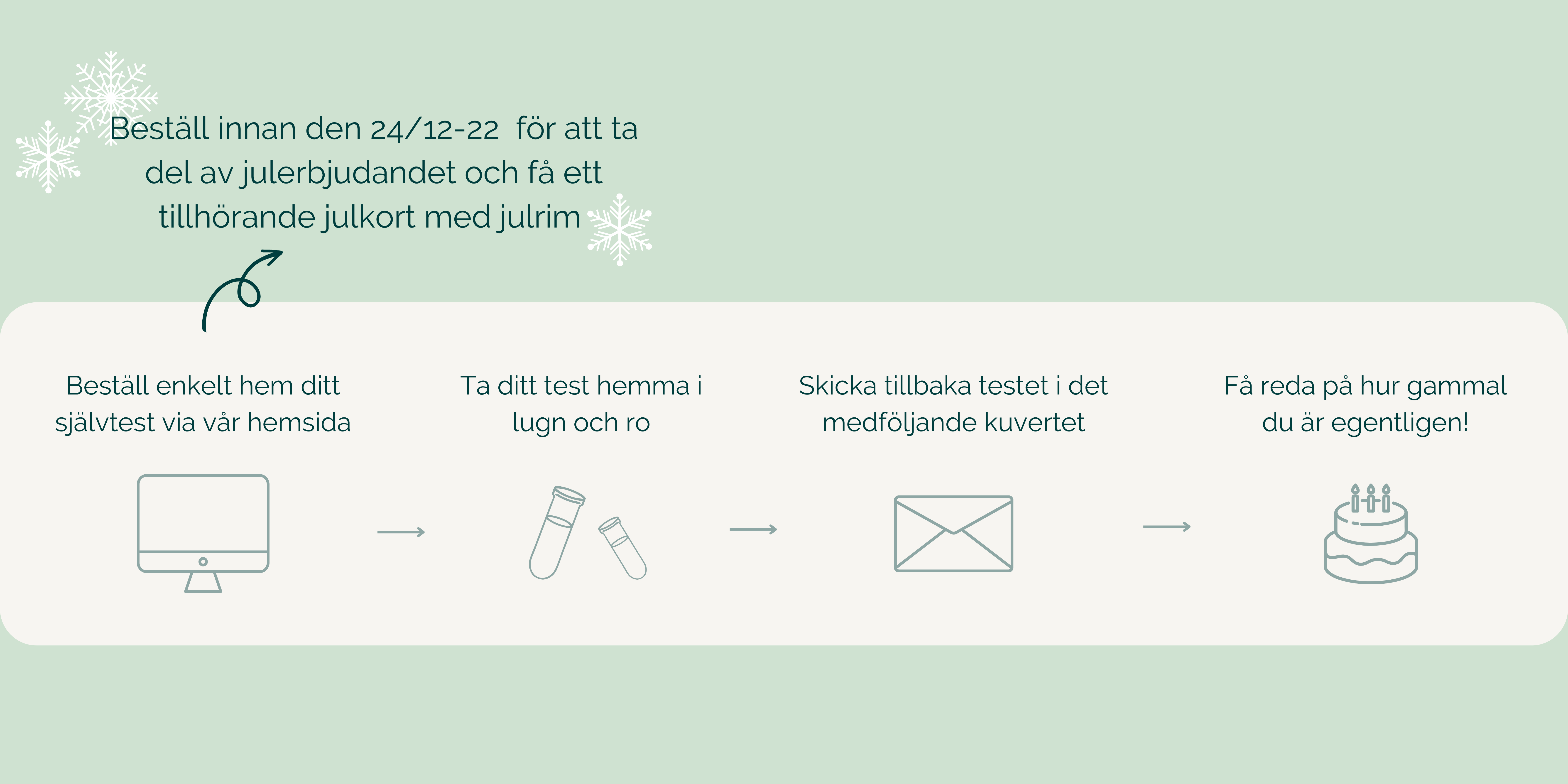Julkampanj - Hur funkar det