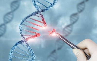 Epigenetik, DNA-metylering och åldrande